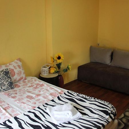 Vitoshka Biggest Apartment Szófia Kültér fotó